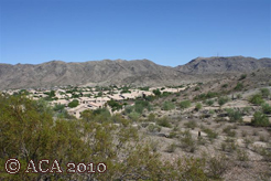 2010 ACAGolf - Arizona Constables